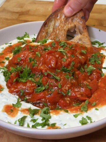 Roasted Cherry Tomato & yogurt dip