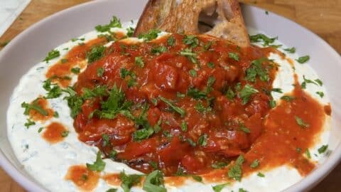 Roasted Cherry Tomato & yogurt dip