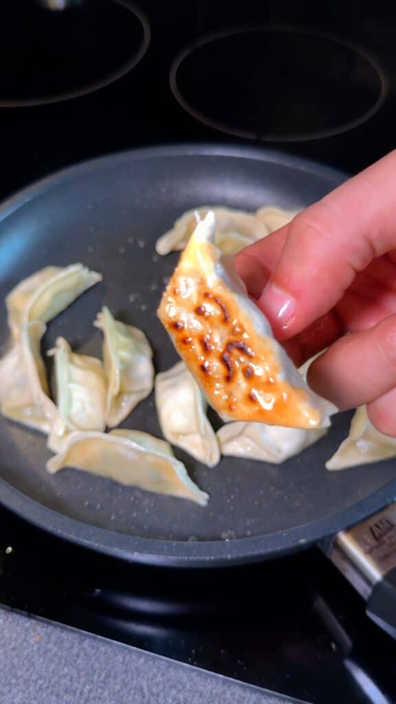 Cook the Dumplings
 Pan-fry the dumplings until golden on the bottom, then add water, cover, and steam until cooked through.