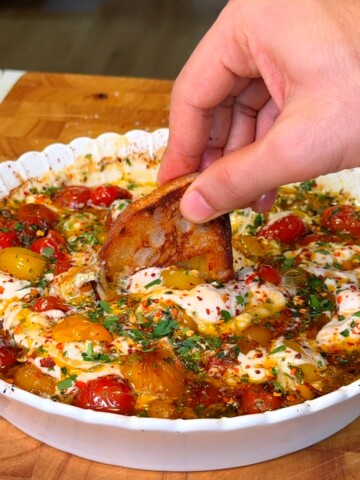 Roasted Cherry Tomato and Creamy Bean Dip