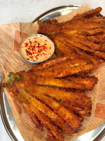 Panko Crusted Eggplant Fries