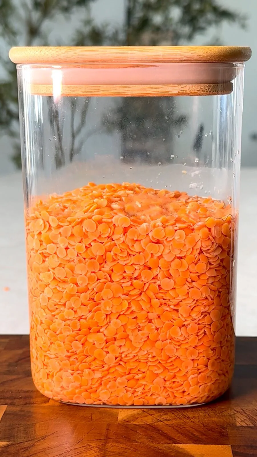 Soaked red lentils in a glass jar