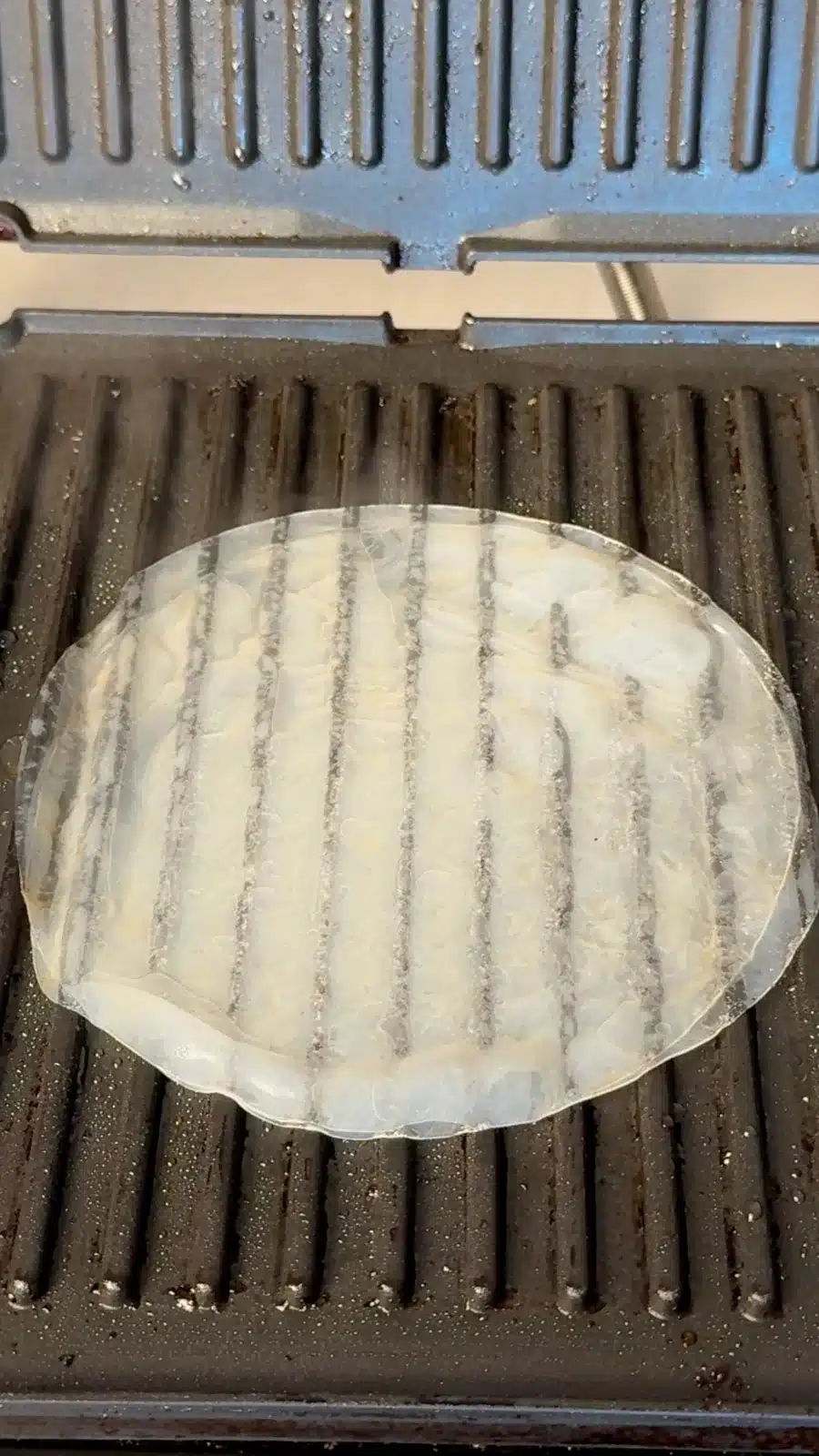 Damp rice-paper sheets layered on the lower plate of a sandwich press